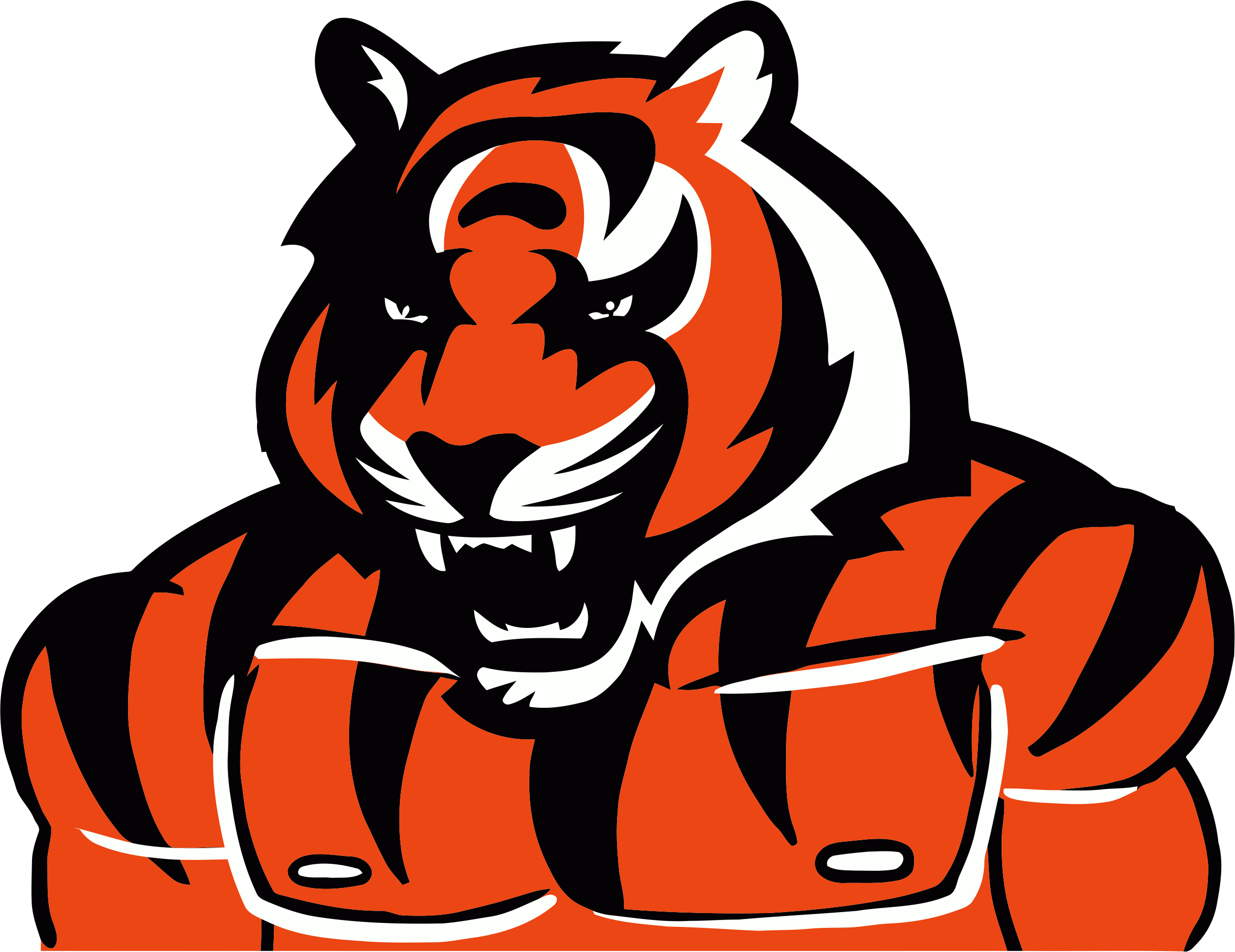 Cincinnati Bengals Steroids Logo DIY iron on transfer (heat transfer)
